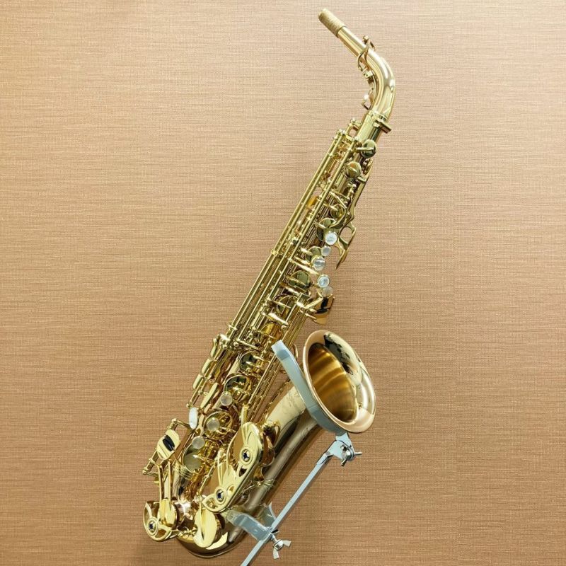 良品質 ヤナギサワ yanagisawa アルトサックス A-WO20 - 楽器/器材