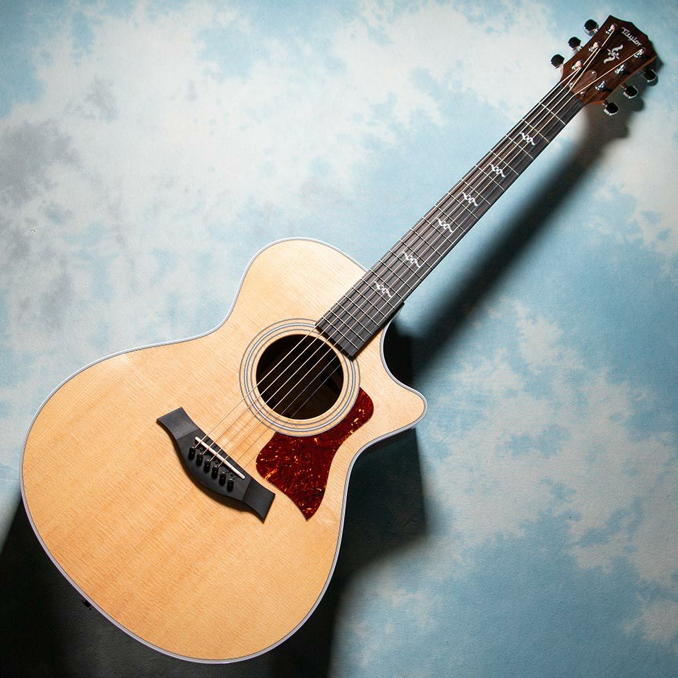 Taylor/412ce Rosewood V-Class | 宮地楽器 ららぽーと立川立飛店 公式