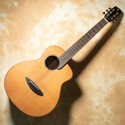 aNueNue/aNN-M60【お取り寄せ商品】 | 宮地楽器 ららぽーと立川立飛店